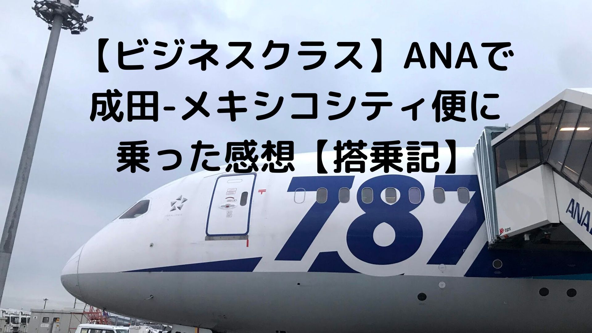 入荷中 ANA(全日空) 成田→メキシコ線 ノート【非売品】 航空機 - www.casinomendoza.com.ar