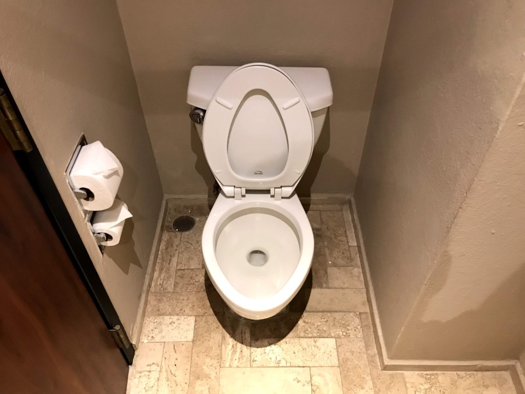 ヒルトンメキシコシティエアポートの客室内のトイレ